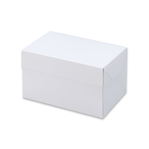 テイクアウトボックス ホワイト105 10.5×15