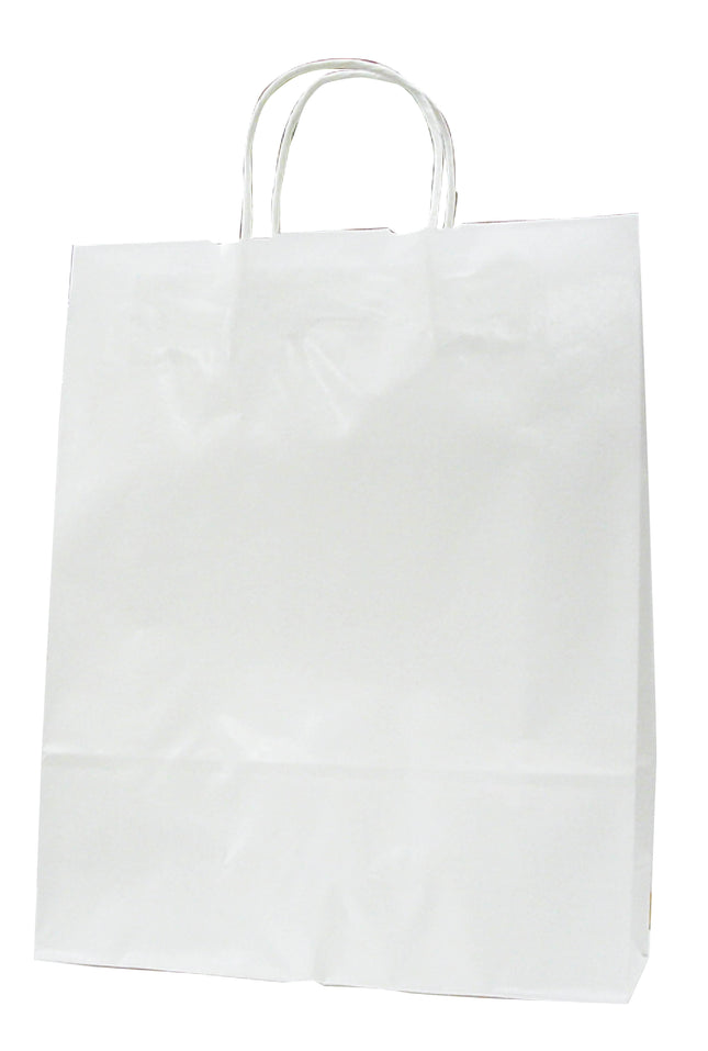 ラッピーバッグ No.2 晒無地 丸紐