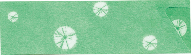 箸袋 小江戸しぼり K-5 青竹