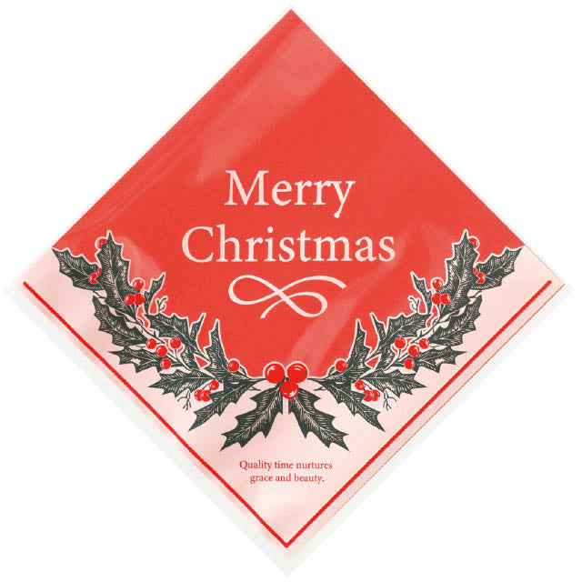 XMW-SQC クリスマスリースシューバッグ