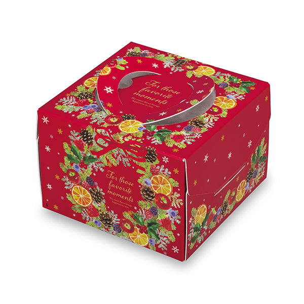 ケーキ箱　Fキャリーデコ　イハリナース　4.5号