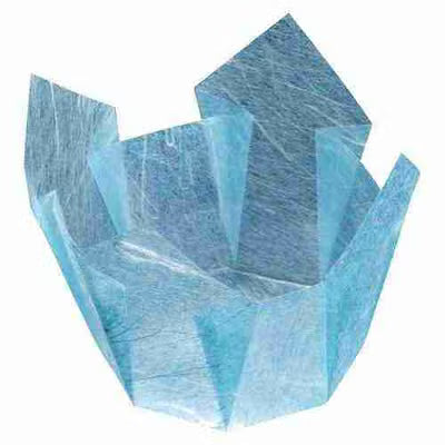 両面OP珍味入　水雲龍　小