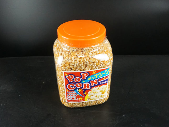 ポップコーン 容器入 大 2800g