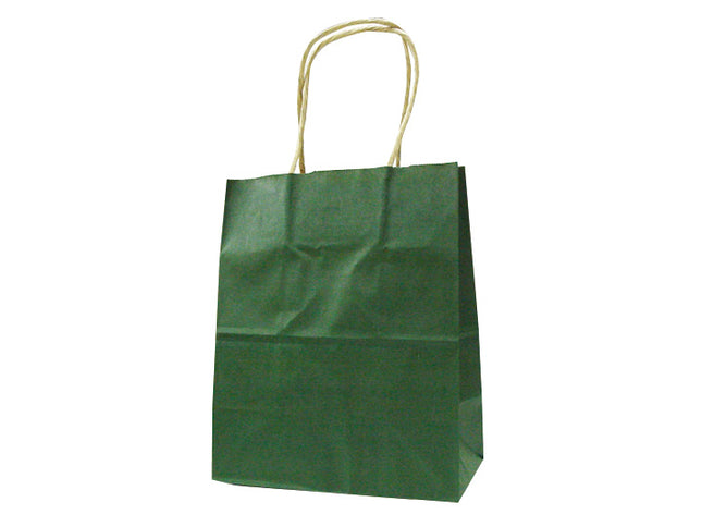 手提げ紙袋 T-2 緑